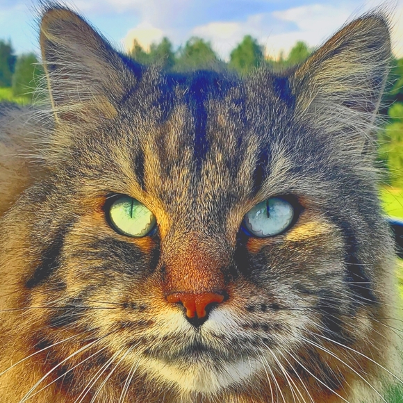 Meet your Posher, Marie - Picture 1 of 1